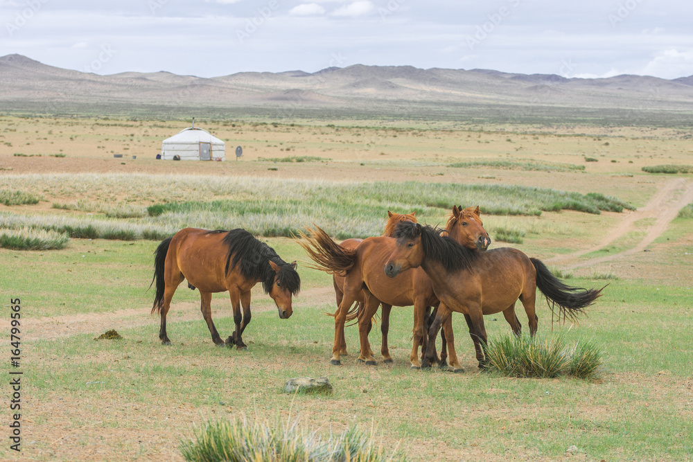 Fototapeta premium animals grazing on grass and on water source of desert oasis 