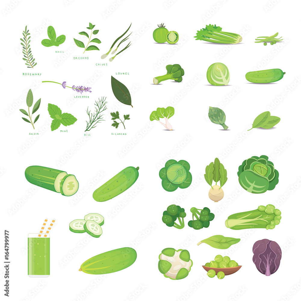 Green vegetables and herbes. Vegeterian Fresh food vector cartoon