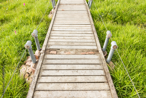 Small concrete bridge walkway through in the park Pa Hin Ngam National Parkthe big green field of Siam Tulip at Chaiyaphum, Thailand photo