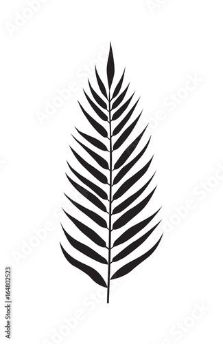Palm leaf element