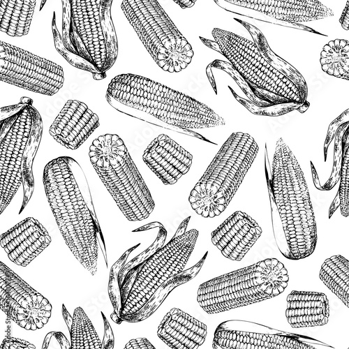 Vector hand drawn seamless pattern of corn cobs. Farm vegetables. Engraved art. Organic sketched objects.