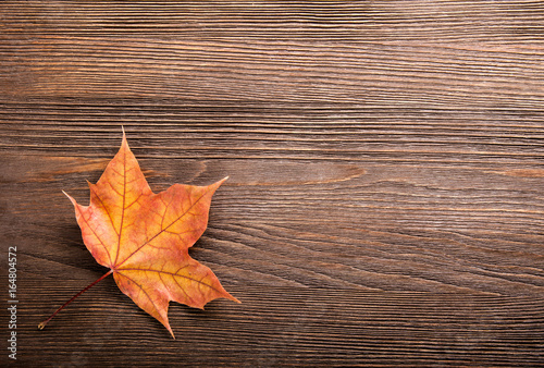 autumn leaf on wood background (top view)