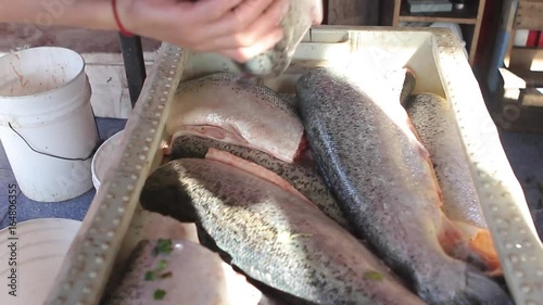 Fisherman with salmon