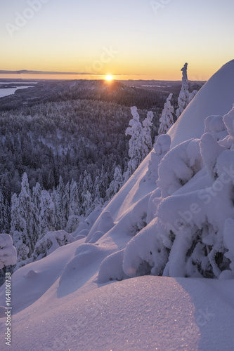 Koli National Park  Finland