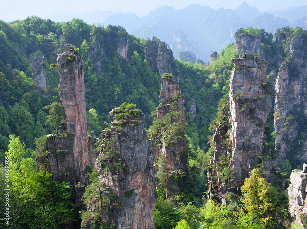 Avatar Floating Mountains in Zhangjiajie National Forest Park in Hunan Province, China