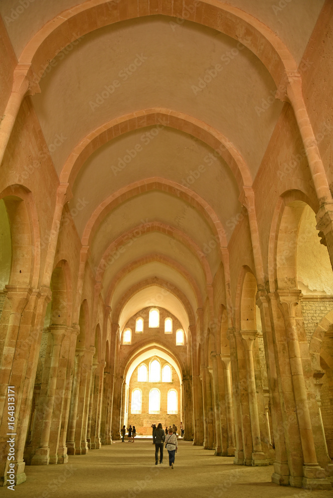 Nef de l'abbaye royale cistercienne de Fontenay en Bourgogne, France