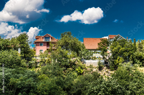 Houses between woods and blue sky with clouds