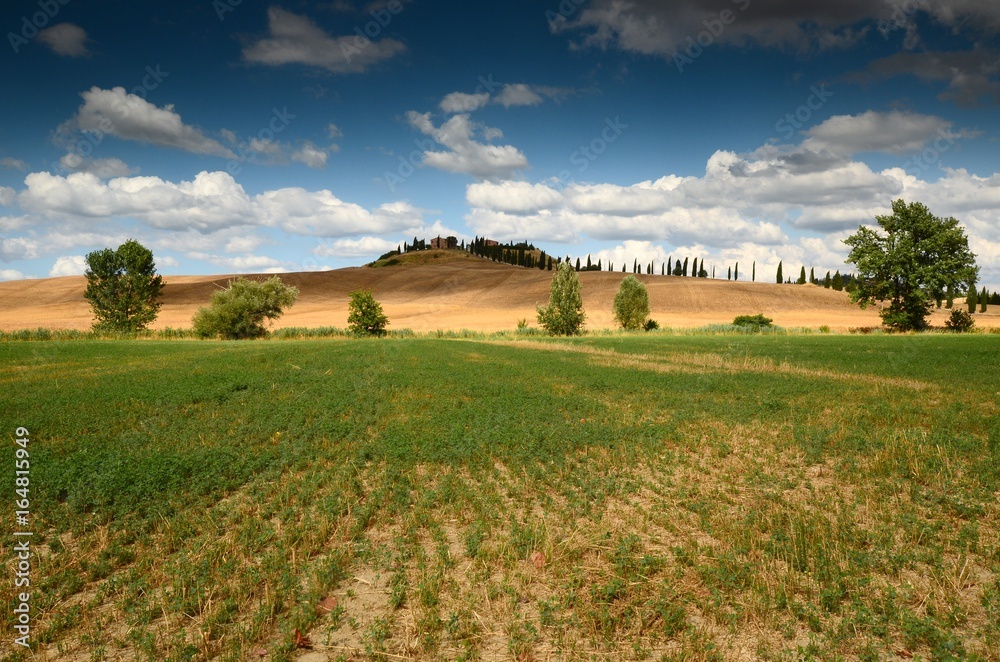 Obraz premium Beautiful landscape near crete senesi. Blue Cloudy sky. Asciano (Siena). Italy.