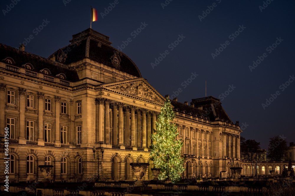 Obraz premium Royal Palace in Brussels