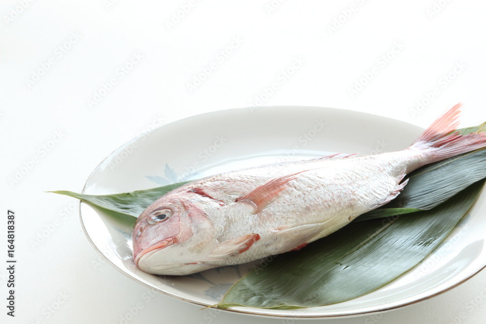 freshness Japanese sea bream 