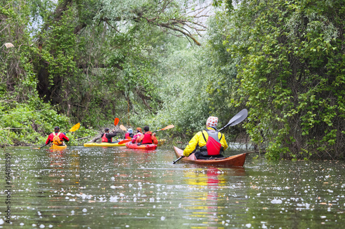 Wallpaper Mural Group of people (friends) kayaking in wild river among thickets of plants on biosphere reserve in spring Torontodigital.ca