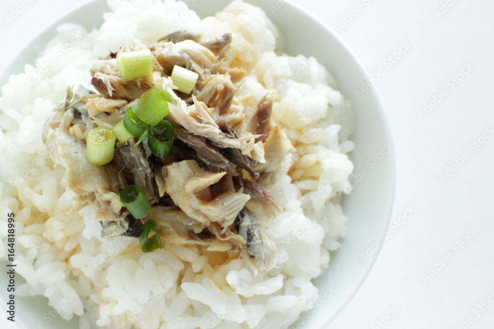 Japanese food, grilled mackerel flake and soy sauce on rice Japanese food, grilled mackerel flake and soy sauce on rice