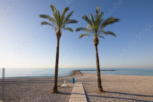 two palm trees framing water ocean in Els Terrers Beach, Benicassim, Castellon, Valencia, Spain, Europe. Wooden footway, pebbles, blue clear sky and Mediterranean Sea
 photo