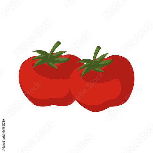 two ripe red tomatoes juicy vegetable fresh