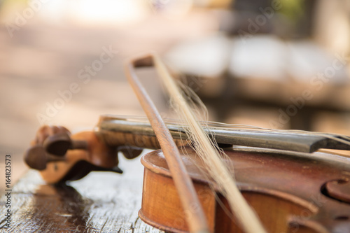 violin on the bench photo