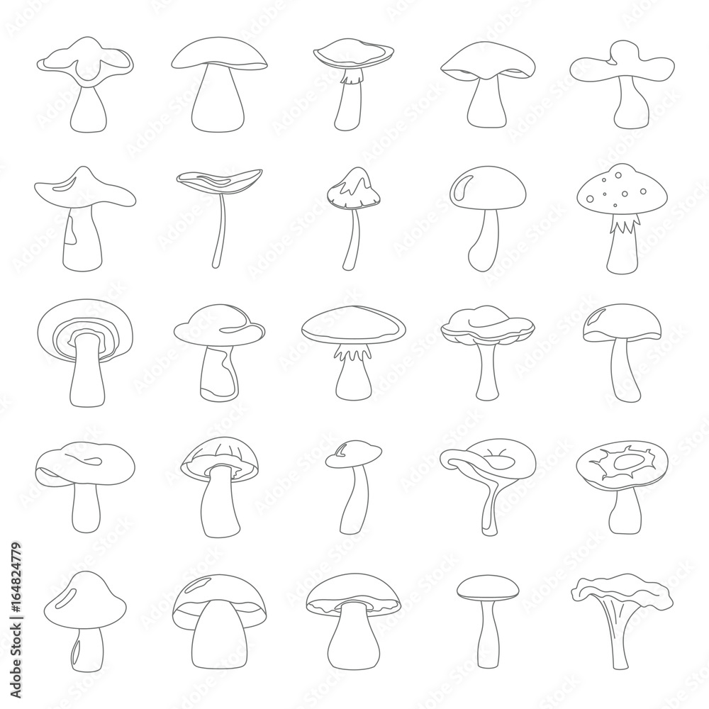 Cartoon mushrooms vector illustration set in thin line style. Different natural design kinds elements mushrooms for web