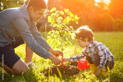 Boy and man planting seedling