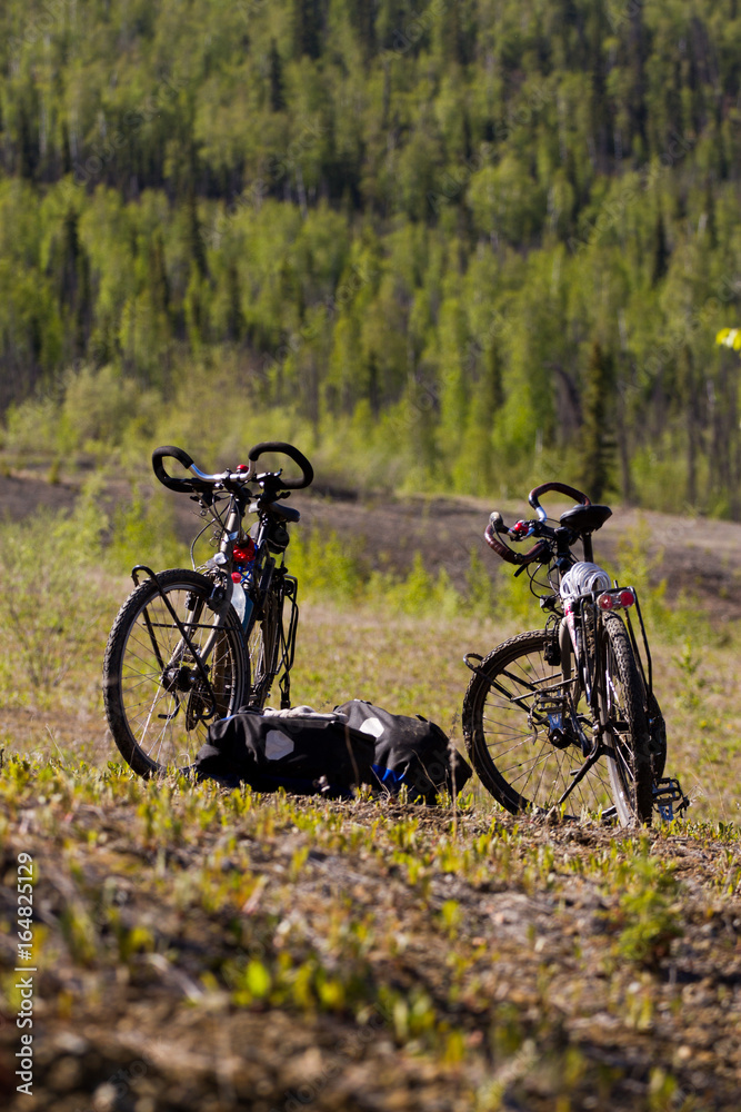 Obraz premium Au repos