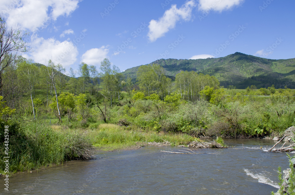 beautiful landscape of the nature Mountain Altai Russia
