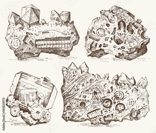 Fossilized plants, stones and minerals, crystals, prehistoric animals, archeology or paleontology. fragment fossils. engraved hand drawn in old sketch and vintage style.