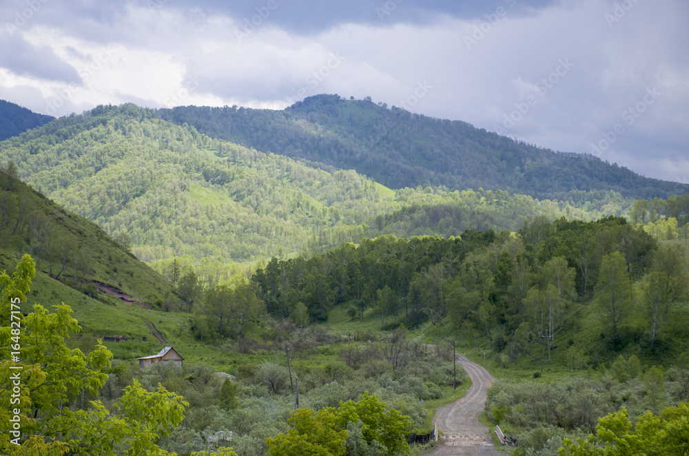 beautiful landscape of the nature Mountain Altai Russia

