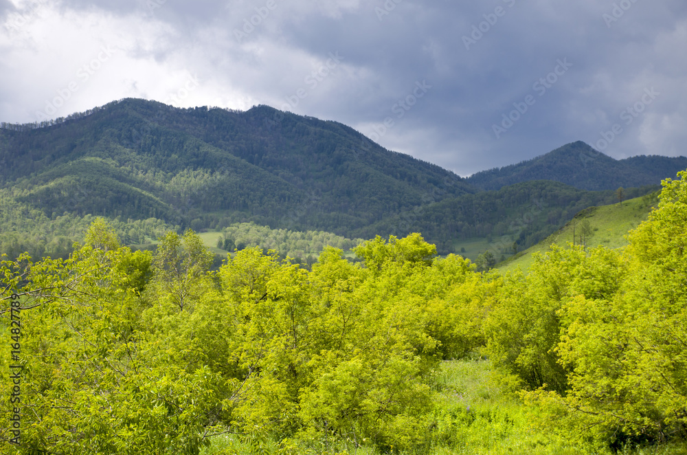 beautiful landscape of the nature Mountain Altai Russia
