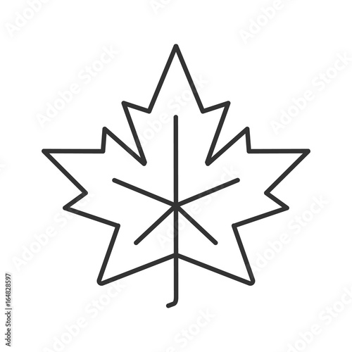 Maple leaf linear icon 