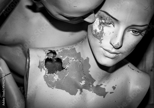 The Uncanny Valley 1