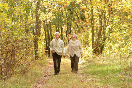 Happy senior couple holding hands together and walking