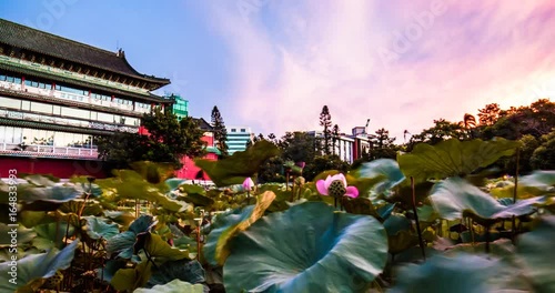  Lotus Pond in taipei  is very beautiful-1