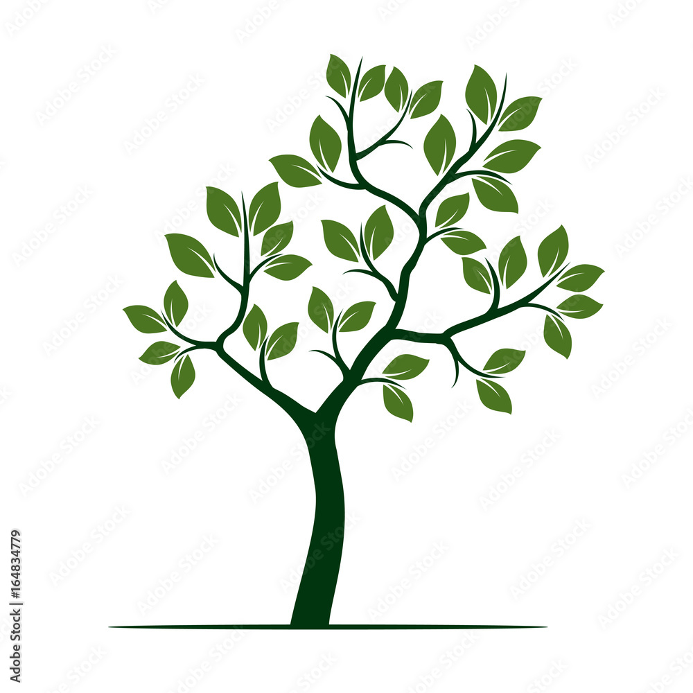 Green Tree with Leaves. Vector Illustration.