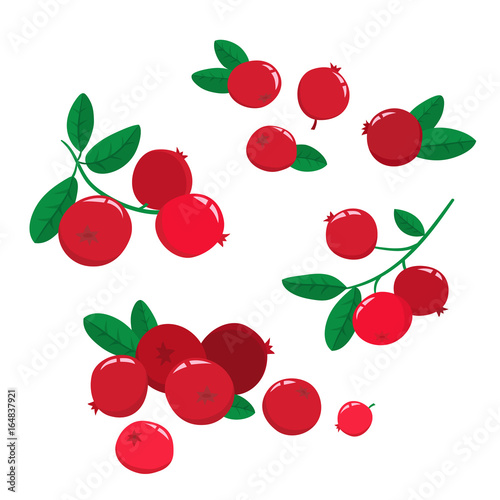 Vector set cartoon cranberries with green leaves isolated on a w