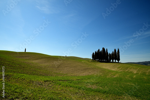 beautiful tuscan landscape near San Quirico d'Orcia, with green rolling hills and tuscan cypress trees. located in Siena countryside. Italy.