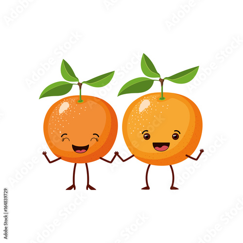 white background with realistic pair of orange fruits caricature vector illustration