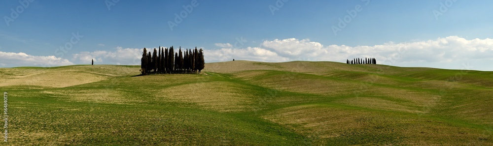 beautiful tuscan landscape near San Quirico d'Orcia, with green rolling hills and tuscan cypress trees. located in Siena countryside. Italy.