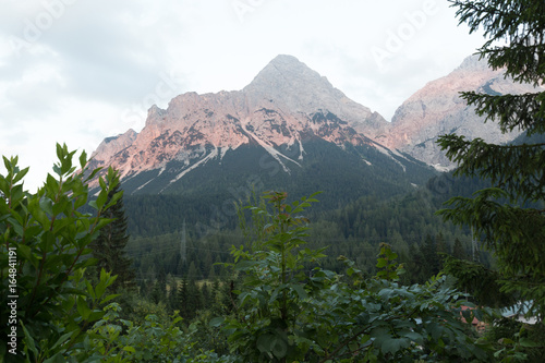 Stone peaks in the clouds and some trees on sunset