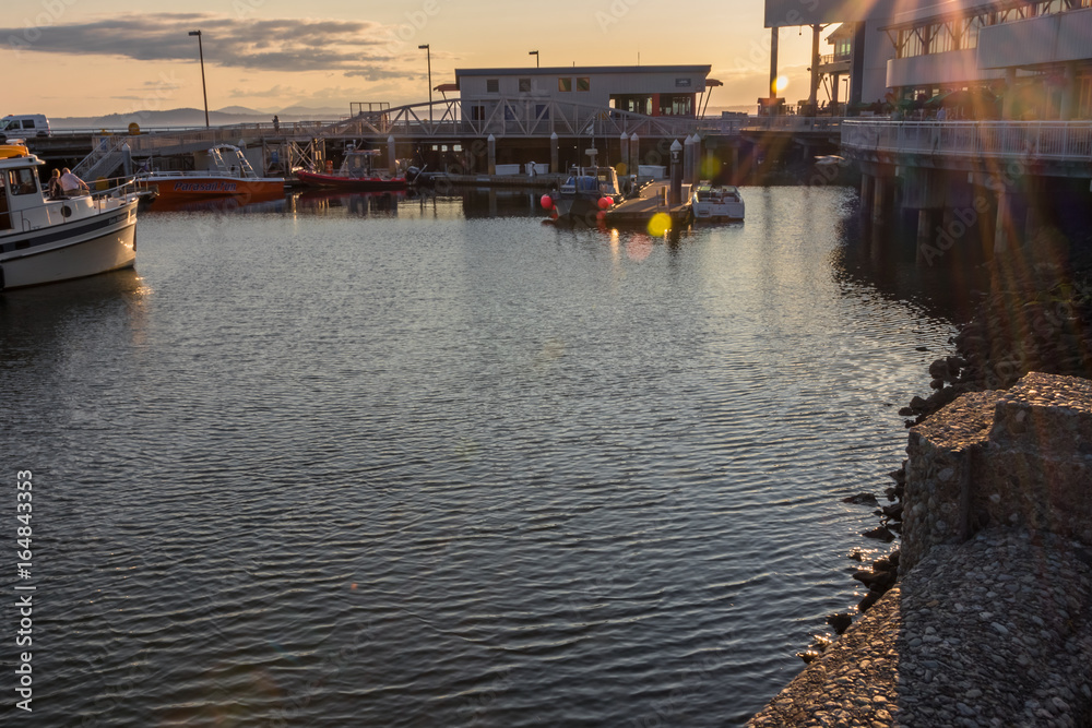 Fototapeta premium Ferry Dock