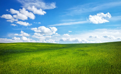 Green grass and blue sky with white clouds