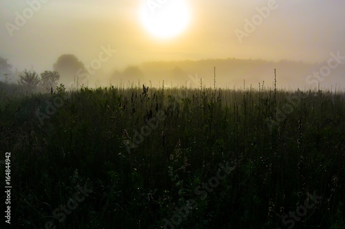 A foggy sunrise. © Владимир Бутенко