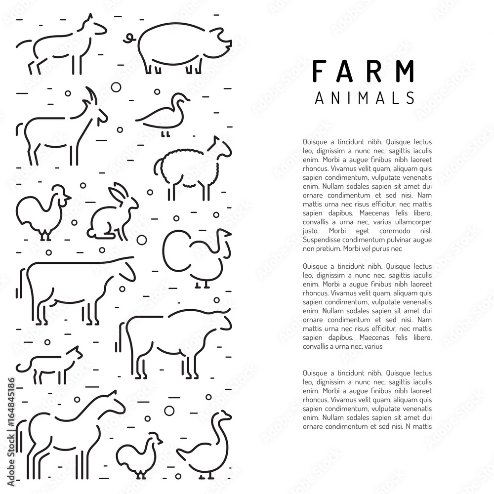 Banner with place for text informing about the usefulness of natural farm products. Vector farm animals in a linear style isolated on white background. Banner with place for text informing about the usefulness of natural farm products. Vector farm animals in a linear style isolated on white background.
