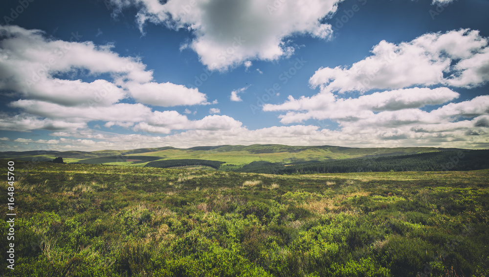 Obraz premium Green Hilly Landscape of Snowdonia National Park in Wales, UK
