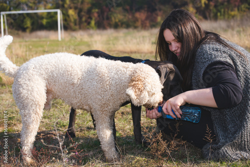 Watering the dogs photo