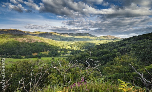 View over Plas Gwynant Valley at Bright Sunny Evening, Snowdonia National Park UK photo