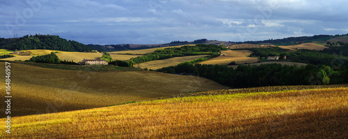 Tuscany Field Panorama