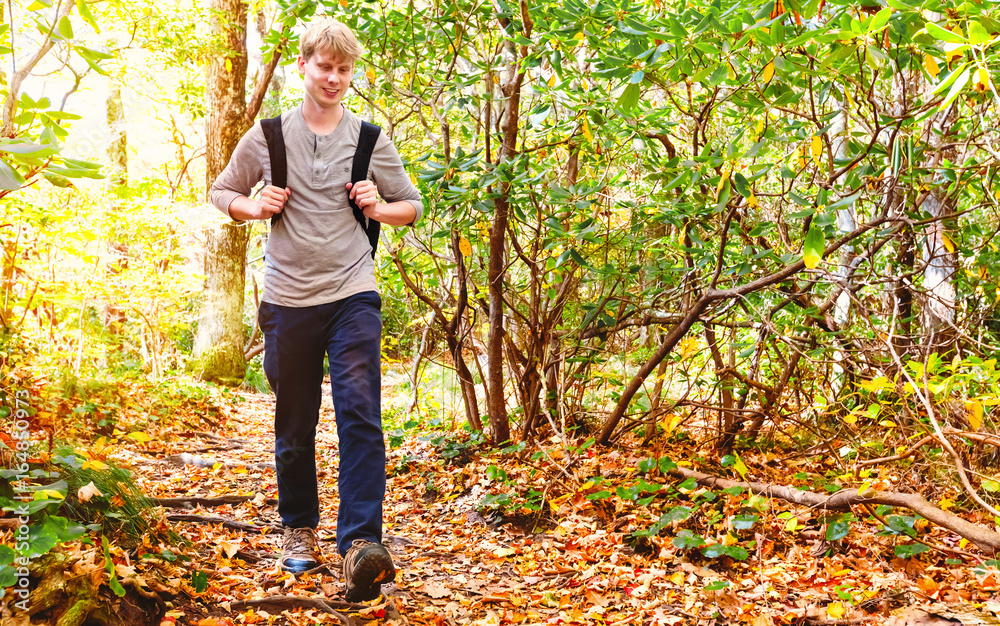 Man walking on a forest path in autumn