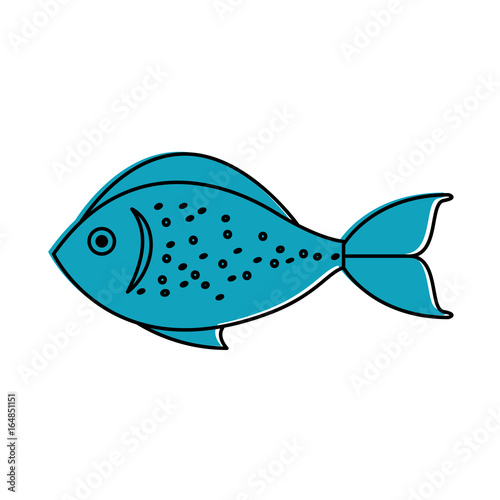 sea fish isolated icon vector illustration design
