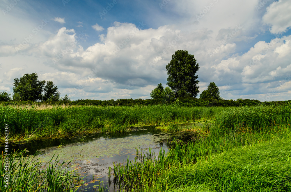 Fototapeta premium View on a river Dnieper on spring