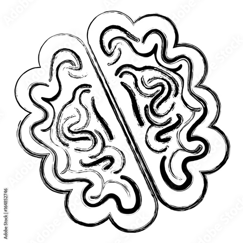 brain storm isolated icon vector illustration design