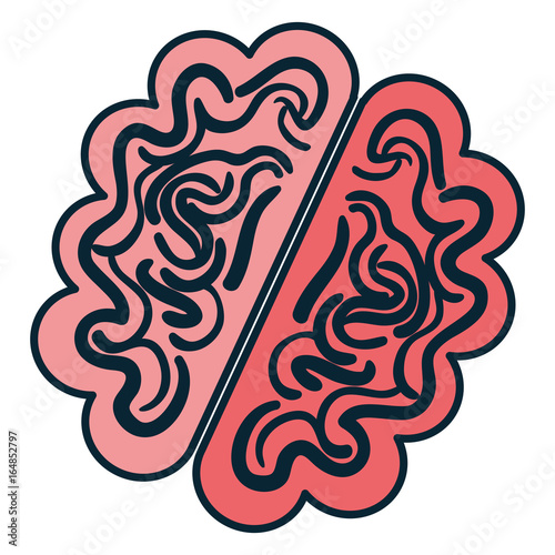 brain storm isolated icon vector illustration design