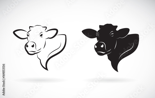 Vector of cow head design. Farm Animal.